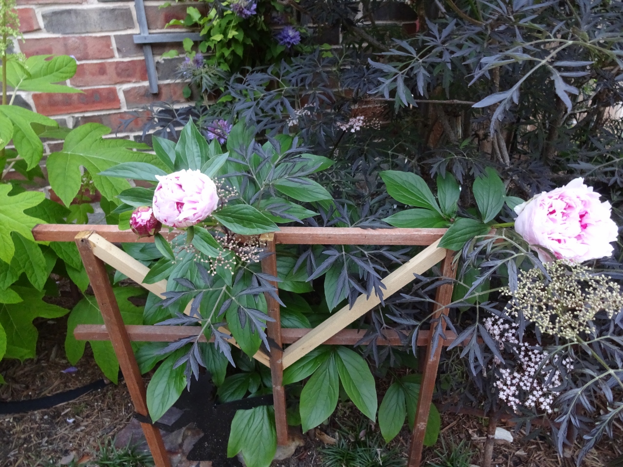 3 Gardening Tips I Learned From My Mother (and one from Home Depot)